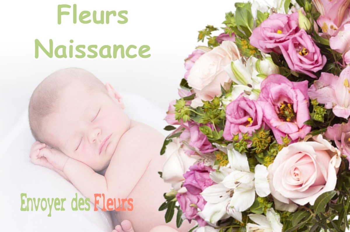 lIVRAISON FLEURS NAISSANCE à RUPT-AUX-NONAINS